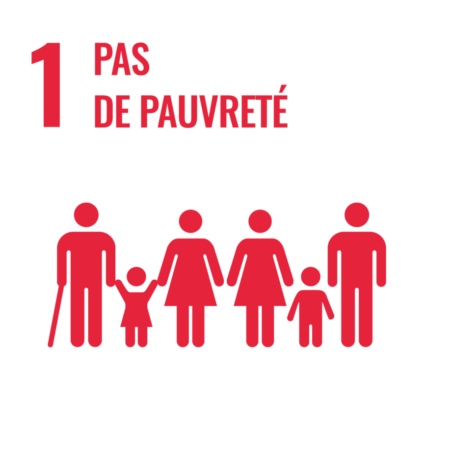Logo du groupe Groupe de suivi ODD 1 : Pas de pauvreté