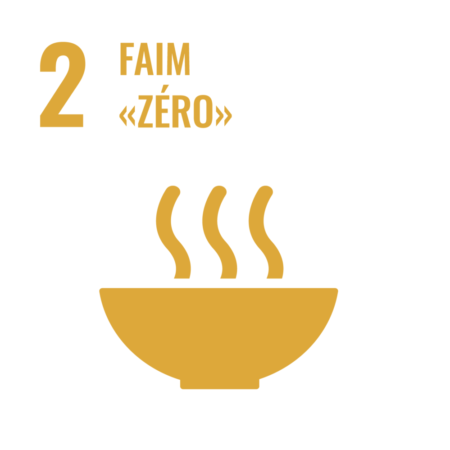 Logo du groupe Groupe de suivi ODD 2 : Faim zéro