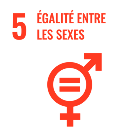 Logo du groupe Groupe de suivi ODD 5 : Egalité entre les sexes